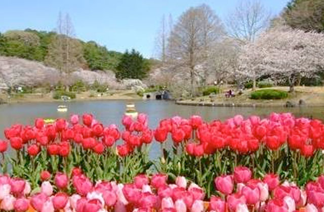 Hamamatsu Flower Park